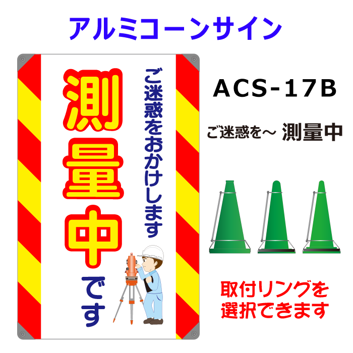 ACS-17B