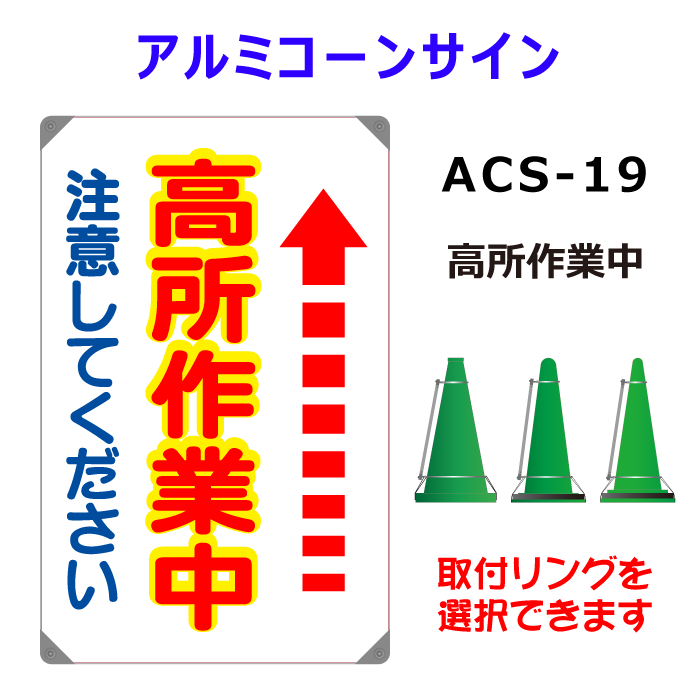 ACS-19