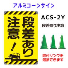 ACS-2Y